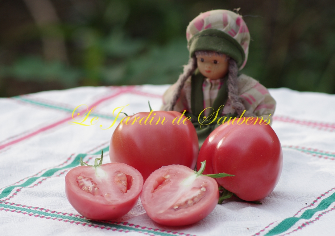 Soldacki 