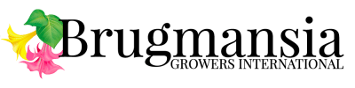 Brugmansia Growers International