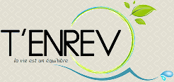 T'ENREV