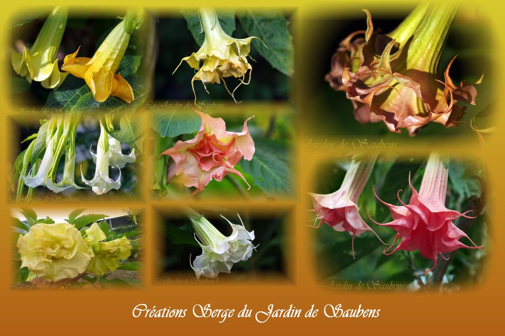 Photo site creations
