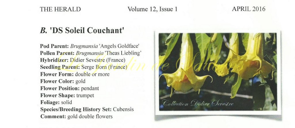 The herald ds soleil couchant 001 copier