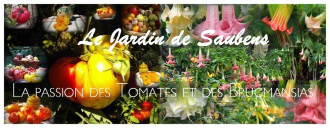 La passion des Tomates et des Brugmansias